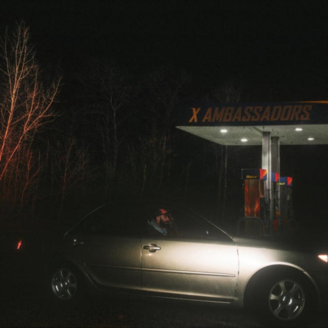 X Ambassadors - Townie (Vinyl)