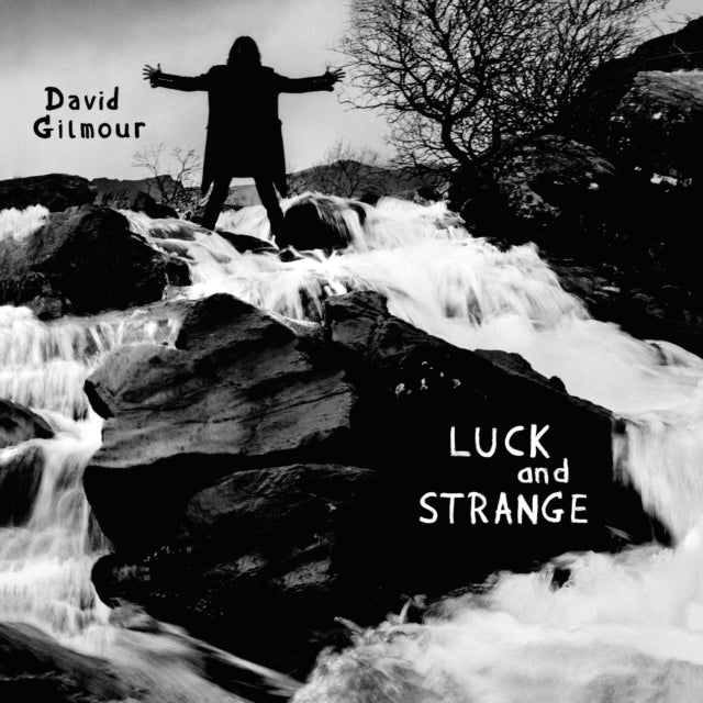 David Gilmour - Luck & Strange (Vinyl)
