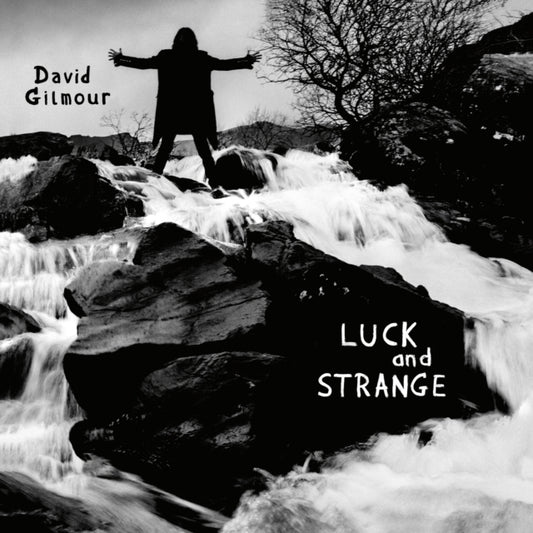 David Gilmour - Luck & Strange (Vinyl)