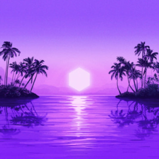 Purple Disco Machine - Paradise (Vinyl)