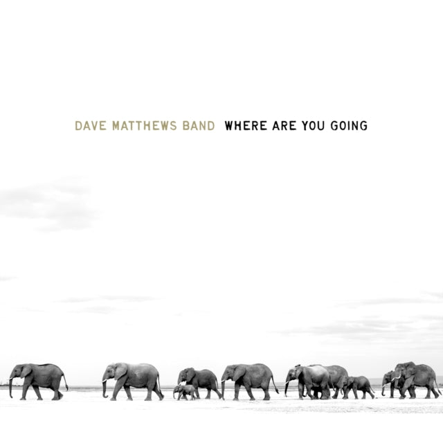 Dave Matthews Band - Where Are You Going: The Singles (Vinyl)