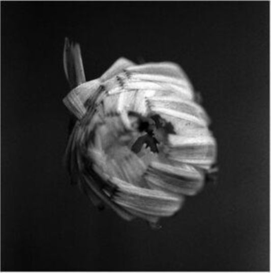 A Swarm Of The Sun - An Empire (CD)