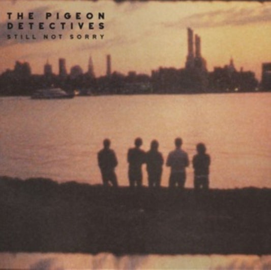 Pigeon Detectives - Still Not Sorry (Vinyl)