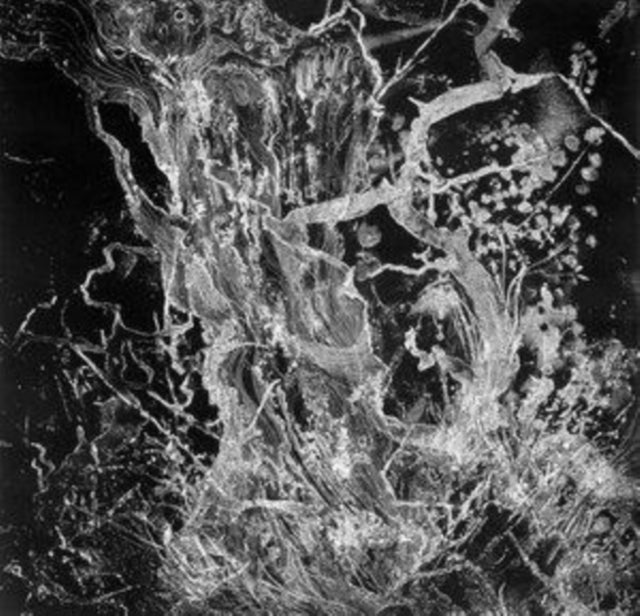 Bruit - Monolith (CD)