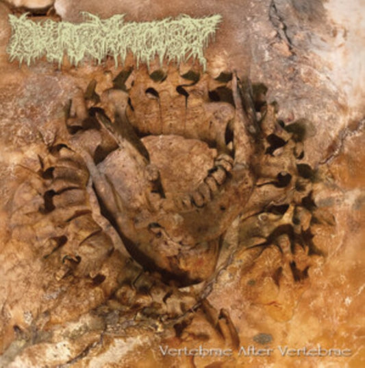 Pharmacist - Vertebrae After Vertebrae (Lucky Dip) (Vinyl)