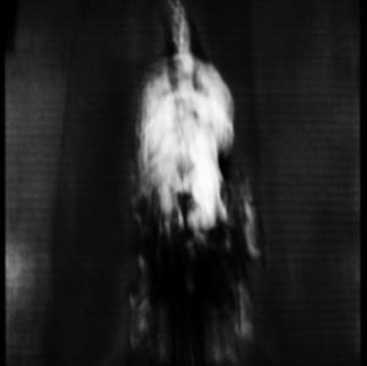 Cigno - Morte E Pianto Rituale (Vinyl)