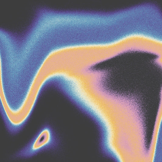 Jamie Lidell & Luke Schneider - A Companion For The Spaces Between Dreams (Vinyl)