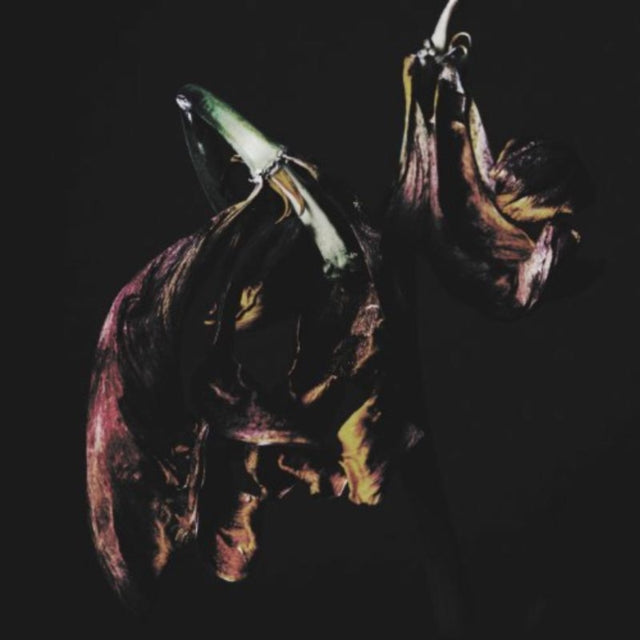 Traams - Grin (CD)
