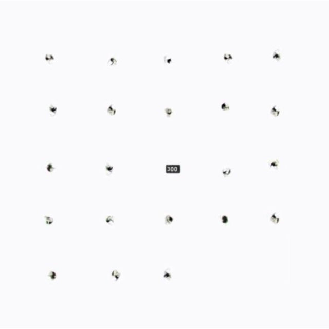 Durian Brothers / Ensemble Skalectrik - Split Series #22 (Vinyl)