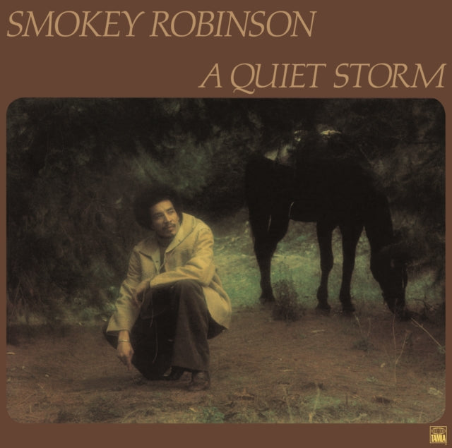 Smokey Robinson - A Quiet Storm (Vinyl)