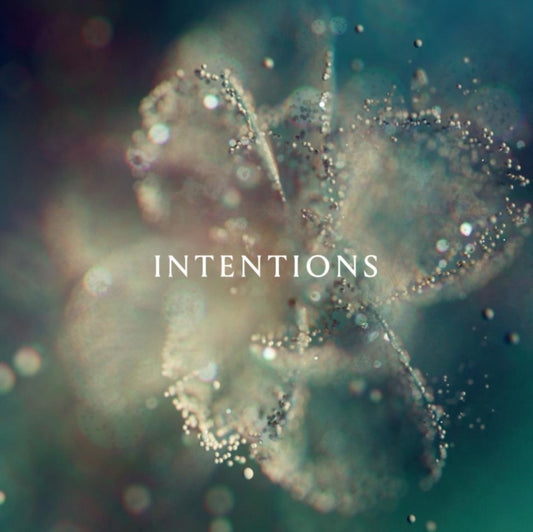 Anna - Intentions (Vinyl)