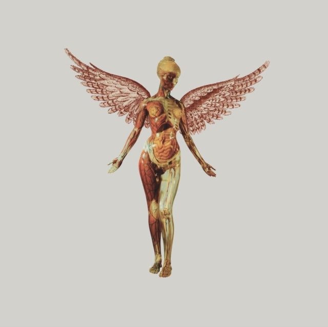 Nirvana In Utero (CD) (https://lasgo.dmmserver.com/media/640/06024551/0602455178503.jpg)
