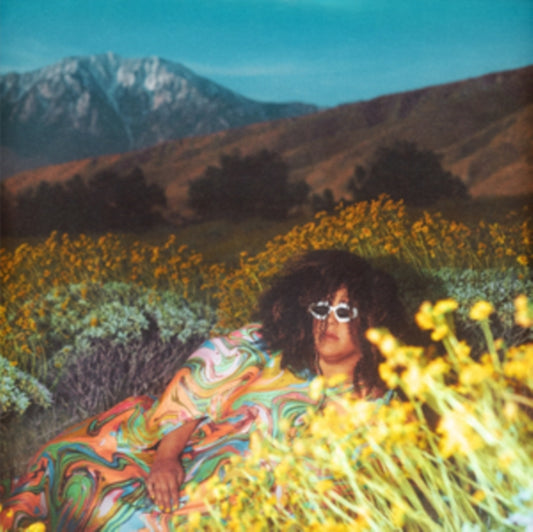 Brittany Howard - What Now (Vinyl)