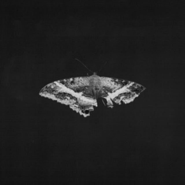 Kendrick Lamar - To Pimp A Butterfly Exclusive 180G Vinyl (10 Year Anniversary Edition) - Alternate Artwork (Vinyl)