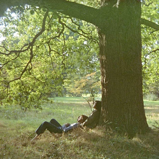 John Lennon - Plastic Ono Band (Vinyl)