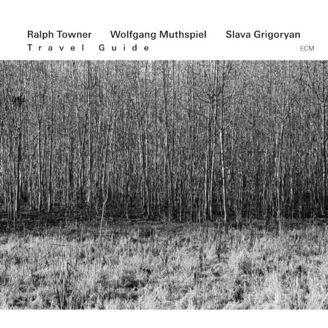 Ravinylh Towner / Wolfgang Muthspie - Travel Guide (CD)