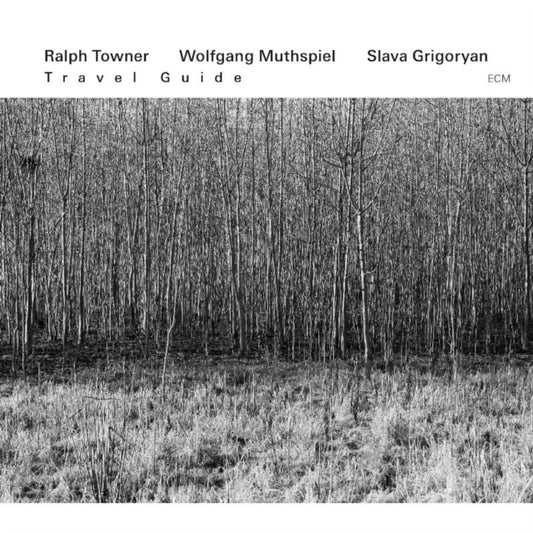 Ravinylh Towner / Wolfgang Muthspie - Travel Guide (CD)