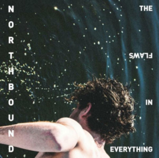 Northbound - The Flaws In Everything (Vinyl)