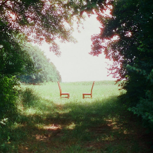 Ratboys - Singin' To An Empty Chair (Etched Vinyl) (Vinyl)