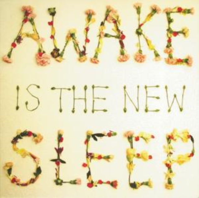 Ben Lee - Awake Is The New Sleep (CD)