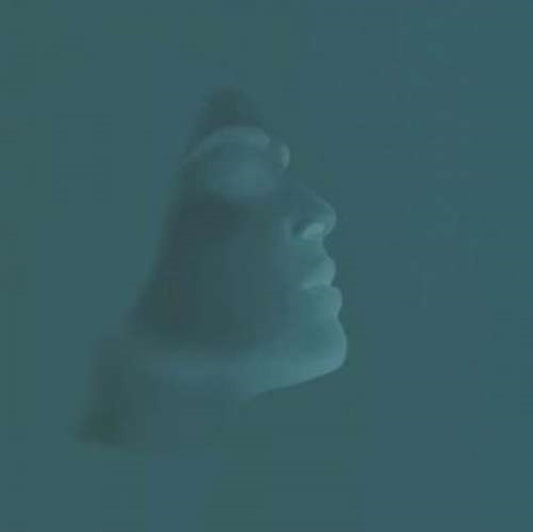 Beautiful Skin - Everything. All This And More (CD)