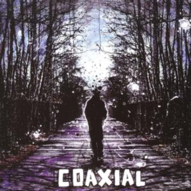 Coaxial - Coaxial (CD)