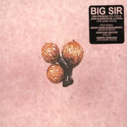 Big Sir - Und Die Scheibe Andert Sich Immer (CD)