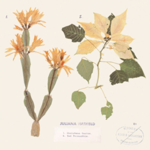 Juliana Hatfield - Christmas Cactus / Red Poinsettia (Coloured Vinyl) (Black Friday 2020) (Vinyl Single)