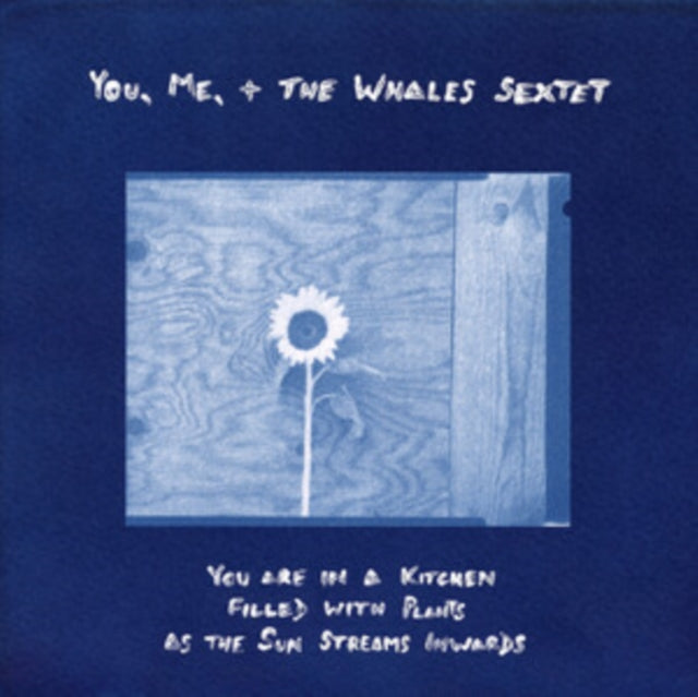 You. Me. + The Whales Sextet - You Are In A Kitchen Filled With Plants As The Sun Streams Inwards (Vinyl)