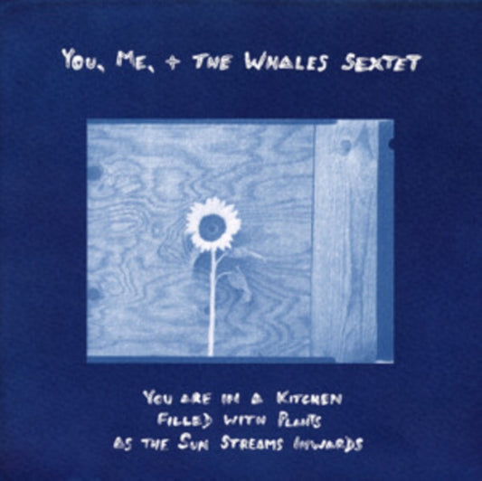 You. Me. + The Whales Sextet - You Are In A Kitchen Filled With Plants As The Sun Streams Inwards (Vinyl)