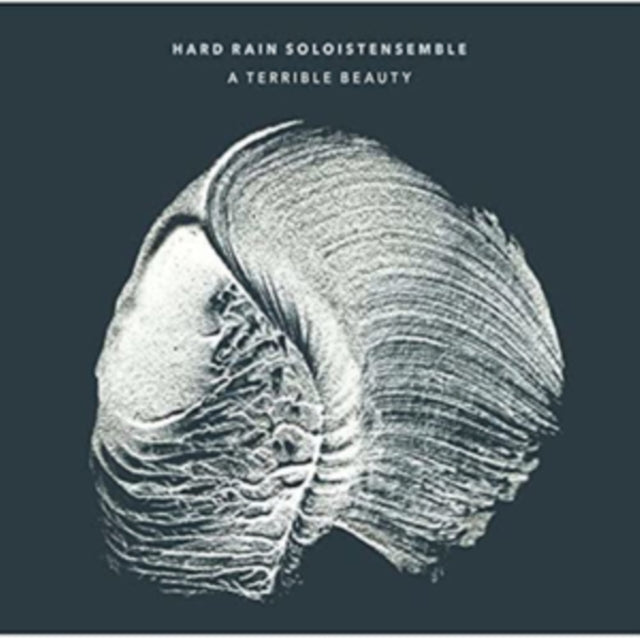 Hard Rain Soloistensemble - A Terrible Beauty (CD)