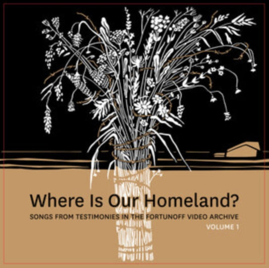 Zisl Slepovitch & Sasha Lurje - Where Is Our Homeland? Songs From Testimonies In The Fortunoff Video Archive. Vol. 1 (Vinyl)