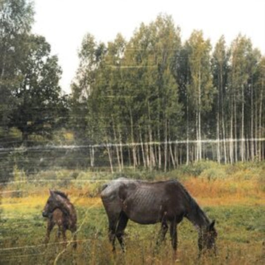 Pianos Become The Teeth - Old Pride (Forest Green Vinyl) (Vinyl)