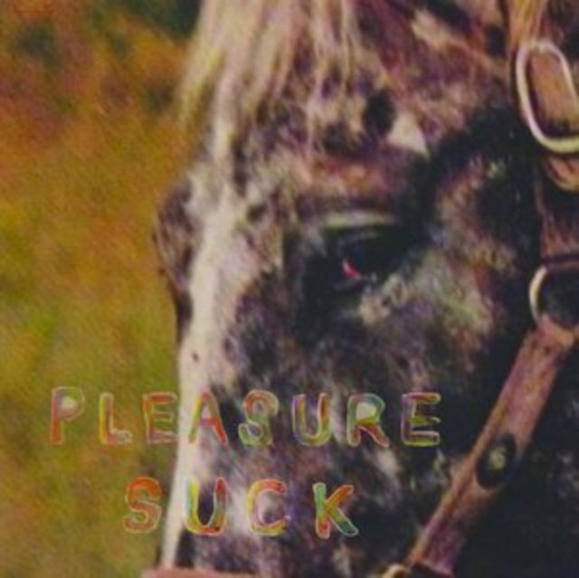 Spirit Of The Beehive - Pleasure Suck (Transparent Orange Vinyl) (Vinyl)