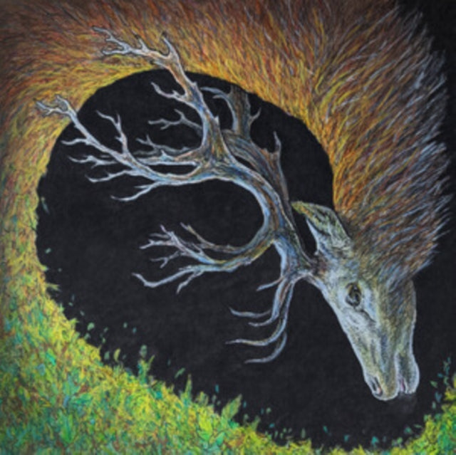 Petrels - Infangthief (CD)