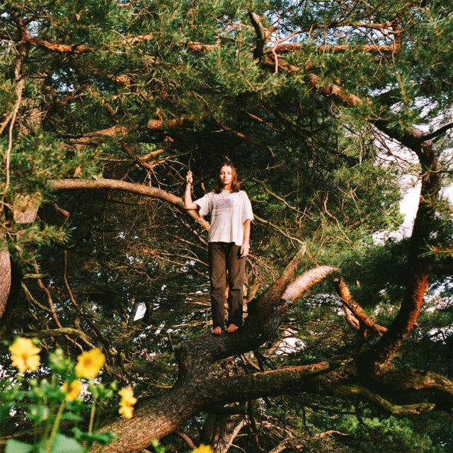 Packs - Melt The Honey (Vinyl)