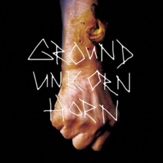 Ground Unicorn Horn - Damn I Wish I Was Fat (Vinyl Single)