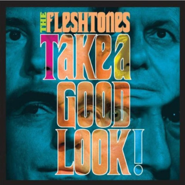 Fleshtones - Take A Good Look (CD)