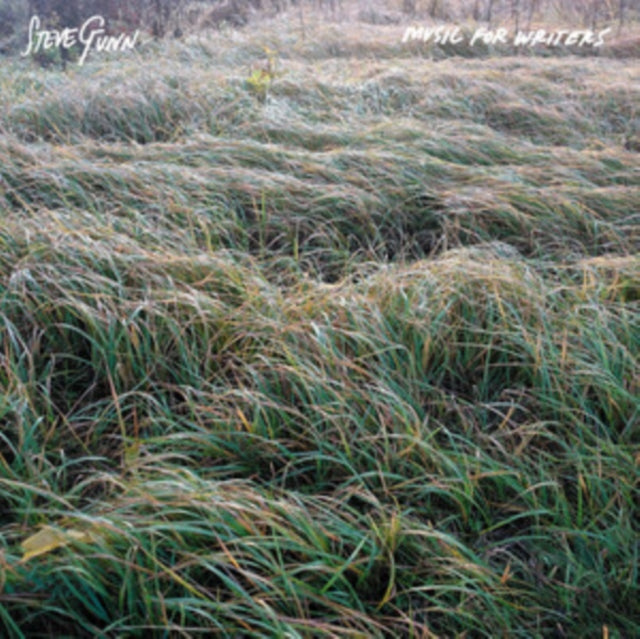 Steve Gunn - Music For Writers (Vinyl)