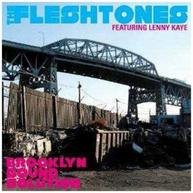 Fleshtones - Brooklyn Sound Solution (CD)
