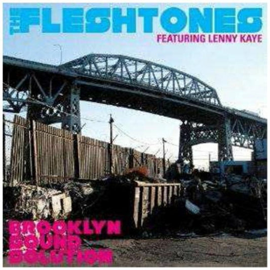Fleshtones - Brooklyn Sound Solution (CD)
