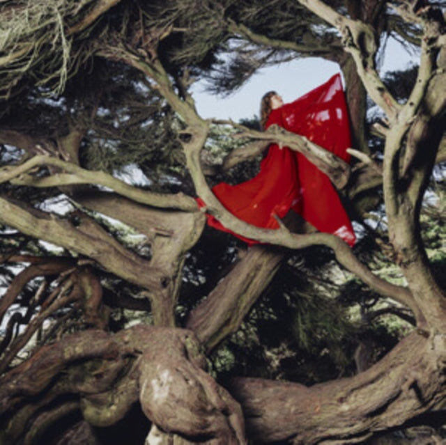 Hannah Frances - Nested In Tangles (Ruby Red Vinyl) (Vinyl)