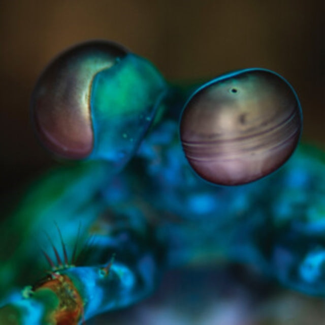 Melvin Gibbs - Amasia: Anamibia Sessions 2 (Vinyl)