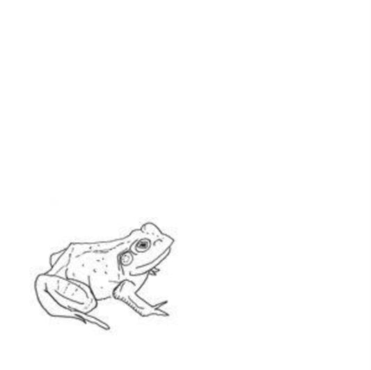 Aoife O'Donovan - Bull Frogs Croon (And Other Songs) (Vinyl)