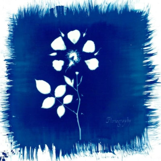 Painted Zeros - Floriography (Vinyl)