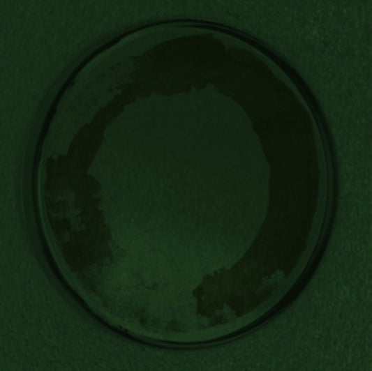 Personable - Oyster (Vinyl)
