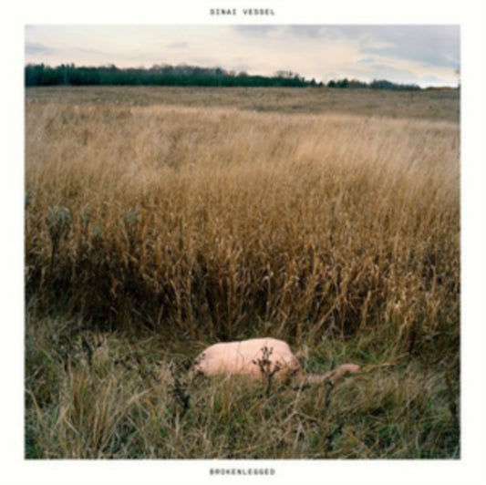 Sinai Vessel - Brokenlegged (Vinyl)