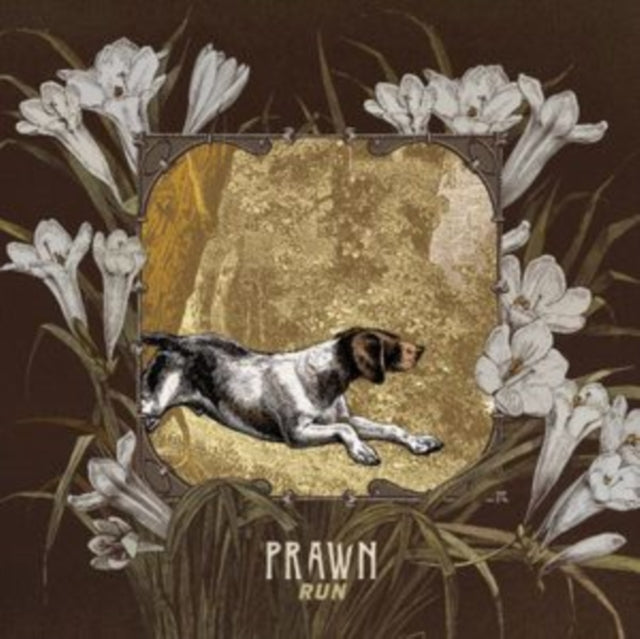 Prawn - Run (CD)