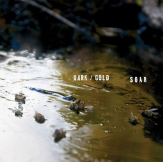 Soar - Dark / Gold (Vinyl)