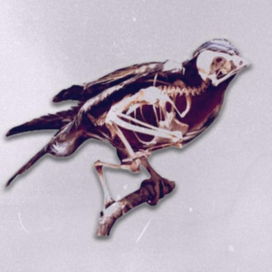 1970S Film Stock - Birds (CD)